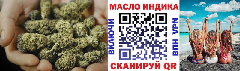 Купить где  Каневская  ТГК концентрат 