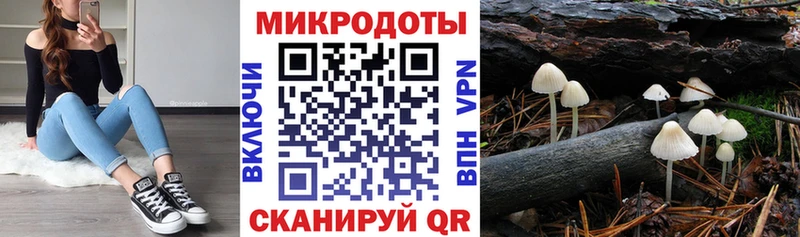 Псилоцибиновые грибы MAGIC MUSHROOMS  Купить где  Каневская 